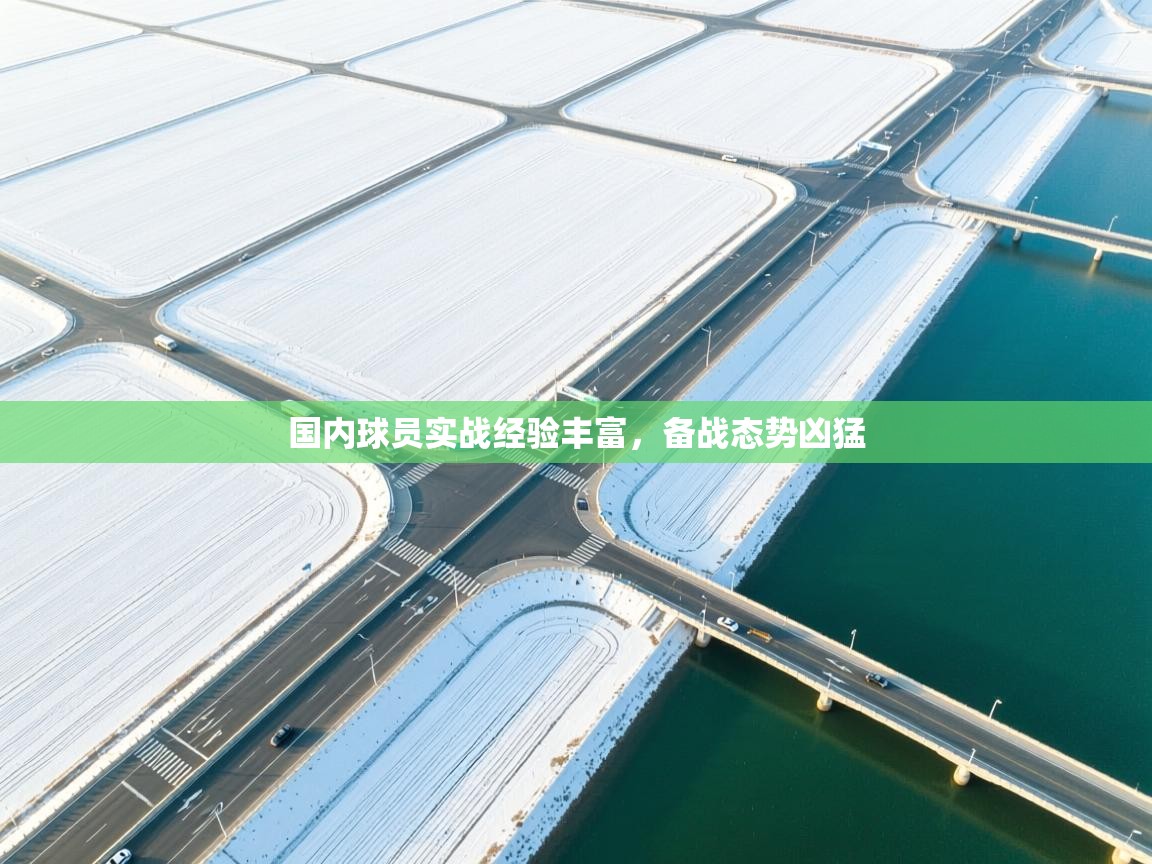 国内球员实战经验丰富,备战态势凶猛 第1张