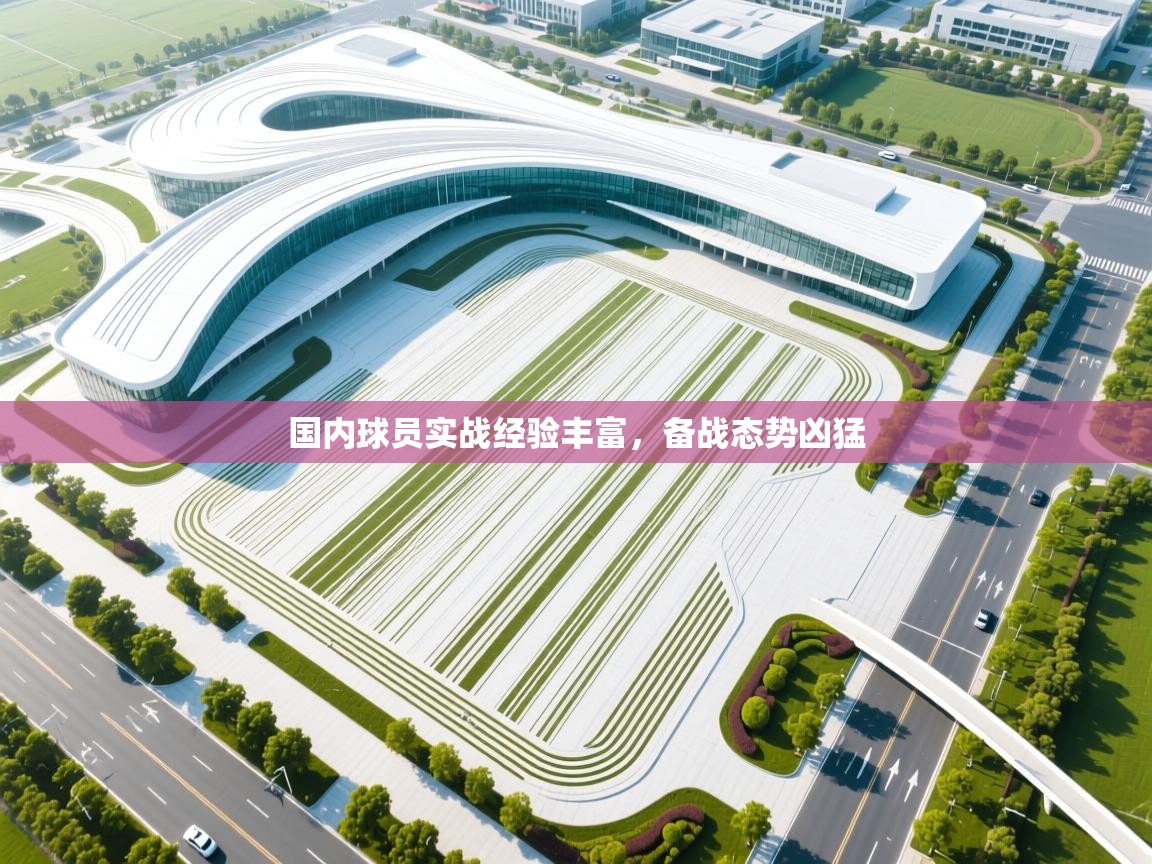 国内球员实战经验丰富,备战态势凶猛 第2张