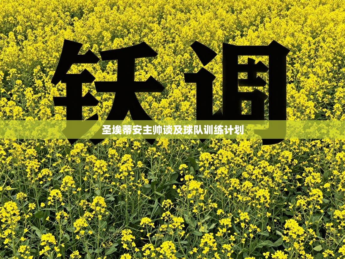 圣埃蒂安主帅谈及球队训练计划 第1张